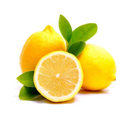 limoncello Homepage